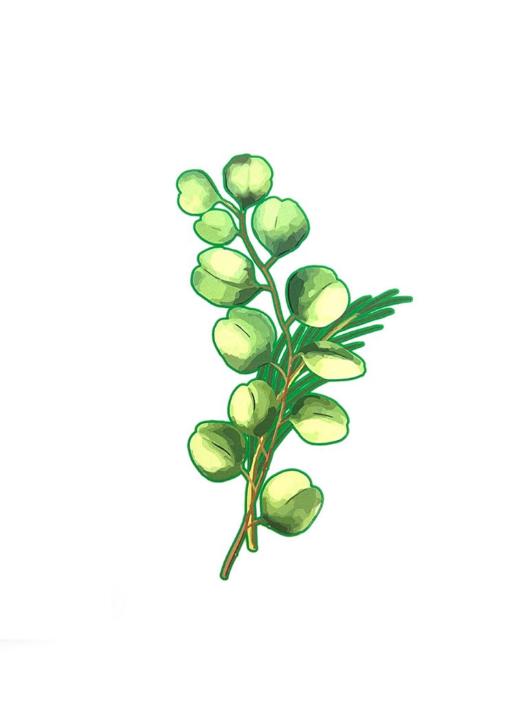 Design for Flaska empower collection